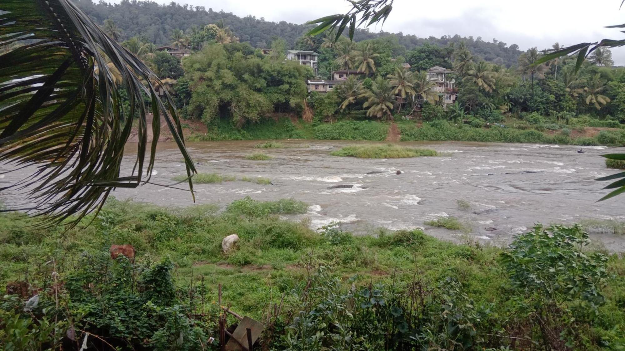 Kandy River Garden Zewnętrze zdjęcie